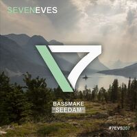 Bassmake - Seedam