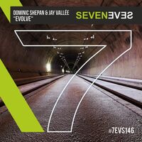 Dominic Shepan & Jay Vallee – Evolve