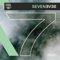 STEEL - Try
